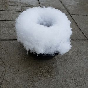 Meet your Posher, Constance